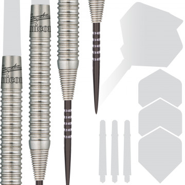 Gary Anderson - World Champion - Player - Steel Tip Darts - Darts
